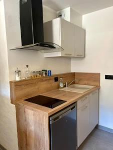 a kitchen with a sink and a stove at Studio le Replat in Aime-La Plagne +2 photos