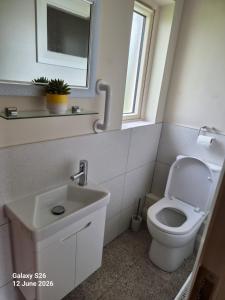 ein Badezimmer mit Toilette, Waschbecken und Spiegel in der Unterkunft corrygarry in Kingscourt