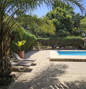 a swimming pool with two lounge chairs and a palm tree at Tendinkoto Lodge in Sanyang
