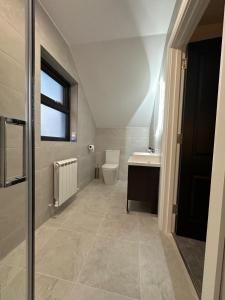 a bathroom with a toilet and a sink at Homestay Wild Atlantic View Binghamstown in Belmullet +22 photos