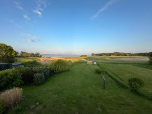 ein Feld mit Gras und ein Gewässer in der Unterkunft Schleirauschen in Klein Brodersby + 12 Fotos