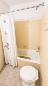 a bathroom with a toilet and a bath tub at Alojamiento céntrico con Wi-Fi in Mar del Plata