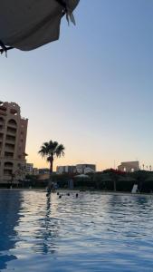a pool of water with a palm tree and buildings at Marina Valley مارينا فالي in El Alamein +3 photos