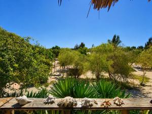 a view of a beach with trees and plants at Chez Émile in Anakao