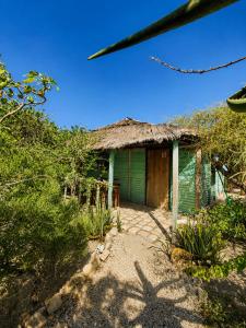 a small green house with a thatch roof at Chez Émile in Anakao