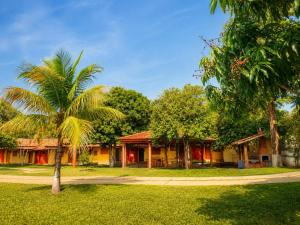 a palm tree in front of a house at Pousada Voo das Garças in Bonito