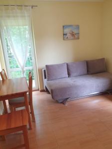 a living room with a couch and a table at Zagajnik in Dębki