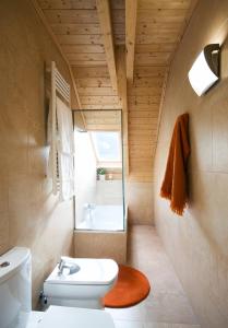 a bathroom with a white toilet and a window at Apartaments Petit Saüc in Taull