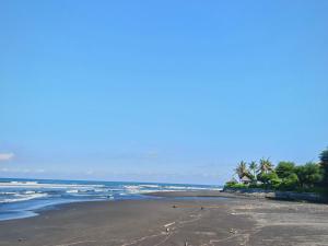 a beach with palm trees and the ocean at 2BR Private Pool Beach Villa Near Sanur & Ubud in Ketewel