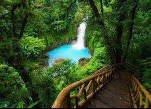 a bridge over a river with a waterfall in a forest at Bosque celeste in Rio Celeste