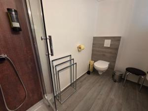 a bathroom with a shower and a toilet at Ferienhaus AUEN mit Seezugang in Velden am Wörthersee +7 photos