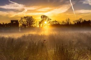 a misty field with the sun setting in the background at Heathend in Petworth