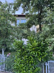 a white fence with a large bush in front of a building at XXL apartman Free parking in Visoko