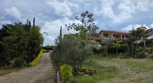 a dirt road with trees and a house in the background at Hotel Puente Piedra in Villa de Leyva