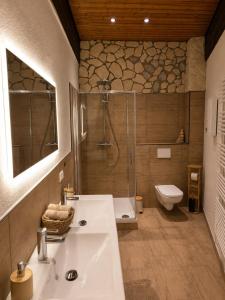 a bathroom with a shower and a sink and a toilet at Bachchalet im Schwarzwald in Sasbachwalden +9 photos