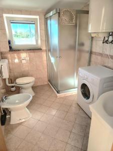 a bathroom with a toilet and a washing machine at House Barizoni in Ankaran +25 photos