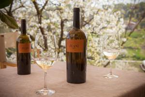 Φωτογραφία από το άλμπουμ του Zuani Casa σε San Floriano del Cóllio +24 φωτογραφίες