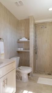 a bathroom with a white toilet and a shower at Santa Cruz Suites in Lower South Hill +14 photos