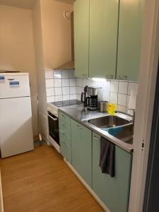 a kitchen with green cabinets and a sink and a refrigerator at Opiskelijankatu 5 Varkaus in Varkaus