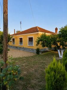 a yellow house with a yard in front of it at Kikas Stone House in Ávaton
