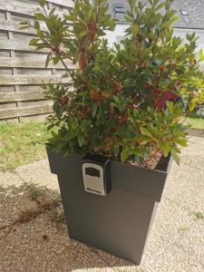 a large black pot with plants in it at Le Moulin in Saint-Nolff