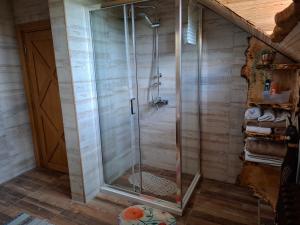 a shower with a glass door in a bathroom at Lukin salaš broj 3 in Ratkovo
