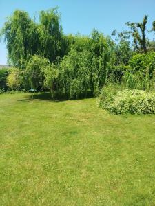 a large grass field with trees and bushes at La Casa del Petirrojo de Ribamontan al Mar con Surf y Tranquilidad in Castanedo