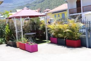 um jardim com um gazebo e plantas em Résidence Eglantine em Cilaos