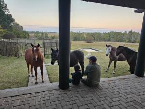 a man and a child looking at horses in a field at Barnfires Farmhouse in Denysville