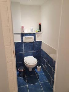 a bathroom with a toilet in a blue tiled floor at Agréable studio indépendant in Froidfond