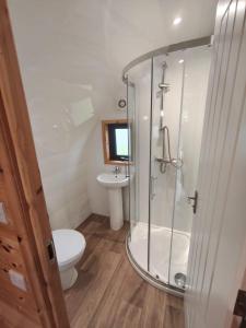 a bathroom with a shower and a toilet and a sink at Barrhill Holiday Park - Glamping in South West Scotland - Stinchar in Girvan +18 photos