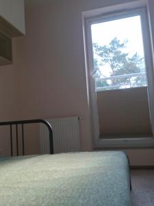 una camera da letto con un letto e una finestra con un albero di Easy a Gdynia