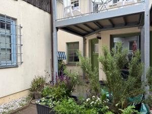 a garden in front of a building with plants at Hygge Cabin in Rostock