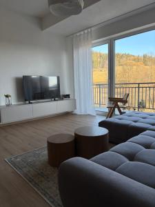 a living room with couches and a flat screen tv at Apartmant Beatrice in Veselé