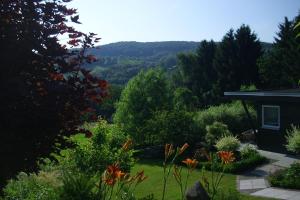 einen Garten mit Bergblick in der Unterkunft Seniorengerechte Ferienwohnung in Großalmerode in Trubenhausen