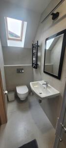 a bathroom with a sink and a toilet and a mirror at Willa Wladek in Władysławowo +90 photos