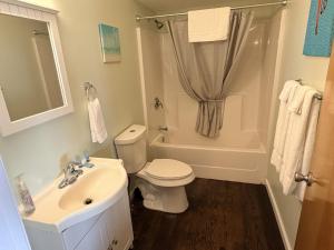 a bathroom with a sink and a toilet and a tub at Lake Access Retreat Pet Friendly Fire Pit in Geneva +44 photos