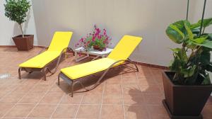 two yellow chairs and a table in a room with plants at Apartamento La Camelia in Rosal