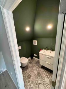 a green bathroom with a toilet and a sink at Location Location Location in Stratford