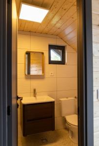 a bathroom with a sink and a toilet at Meștera 9 in Stînceni