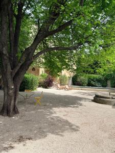 a tree with a bench and a table under it at La Brèche - Mansion with swimming pool in Velleron