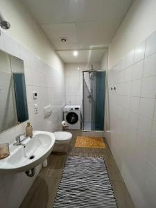 a bathroom with a sink and a shower and a toilet at Ebram Apartments Görlitz in Görlitz +60 photos