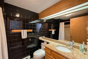 a bathroom with a sink and a toilet at Christmas Mountain Retreat in Bartlett +20 photos