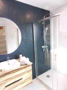 a bathroom with a shower and a sink and a mirror at Spacious house with garden in Soustons +15 photos