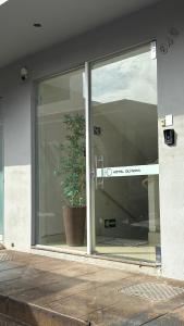 a sliding glass door with a potted plant in it at Hotel Olympia in Cláudio