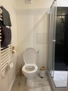a white bathroom with a toilet and a shower at Studio de caractère en pierre in Coutances