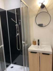 a bathroom with a shower and a sink and a mirror at Studio de caractère en pierre in Coutances