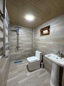 a bathroom with a toilet and a sink at Lisan VIllas in Nabran