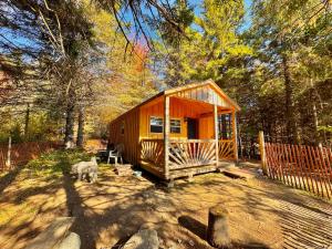 a cabin in the woods with a dog in front of it at Lookout Cabin in Barton