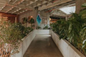 a hallway with a bunch of plants in a building at Wake Living in Medellín